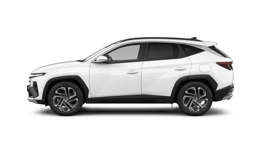 Tucson istaknuta slika