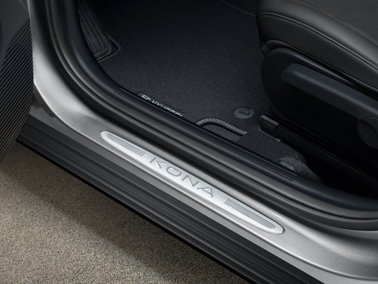 Zaštitnici za pragove